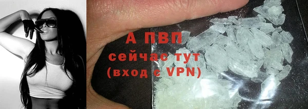 СК Карпинск
