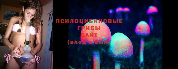 СК Карпинск
