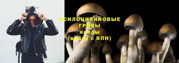 СК Карпинск