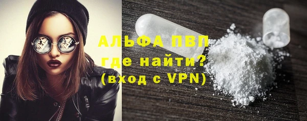 эйфоретик Касимов