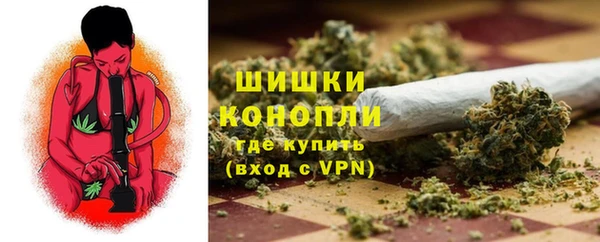 эйфоретик Касимов