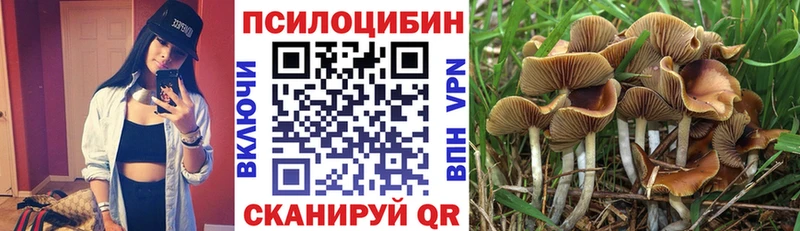 Псилоцибиновые грибы мицелий  Купить где  Волчанск 